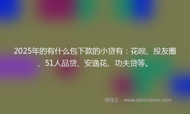 2025年的有什么包下款的小贷有：花呗、投友圈、51人品贷、安逸花、功夫贷等。
