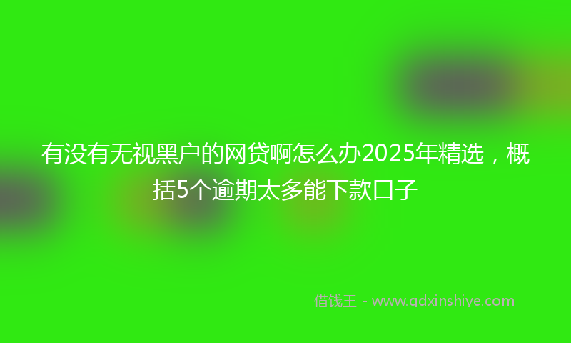 有没有无视黑户的网贷啊怎么办2025年精选，概括5个逾期太多能下款口子