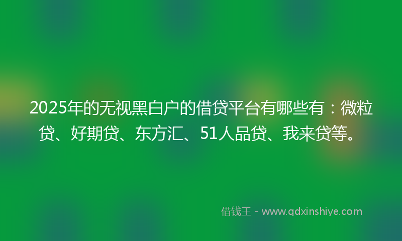 2025年的无视黑白户的借贷平台有哪些有：微粒贷、好期贷、东方汇、51人品贷、我来贷等。