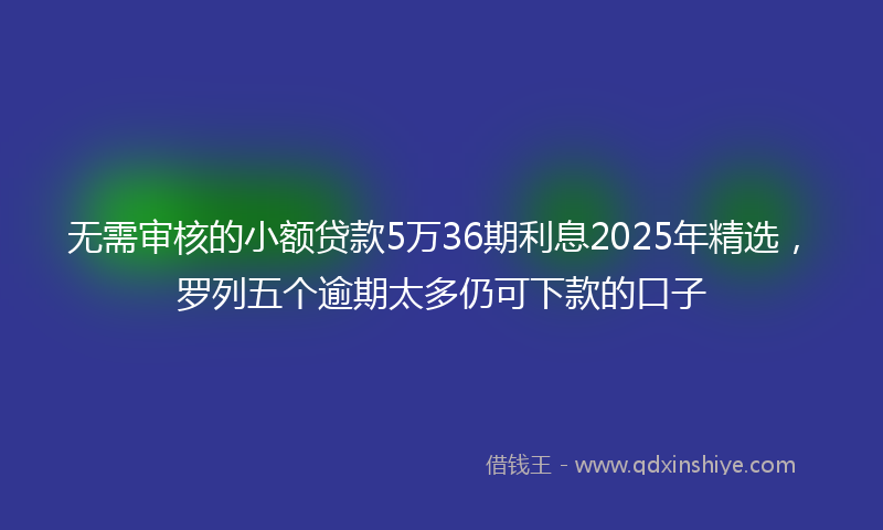 无需审核的小额贷款5万36期利息2025年精选，罗列五个逾期太多仍可下款的口子