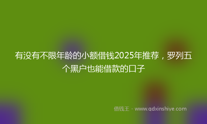 有没有不限年龄的小额借钱2025年推荐，罗列五个黑户也能借款的口子