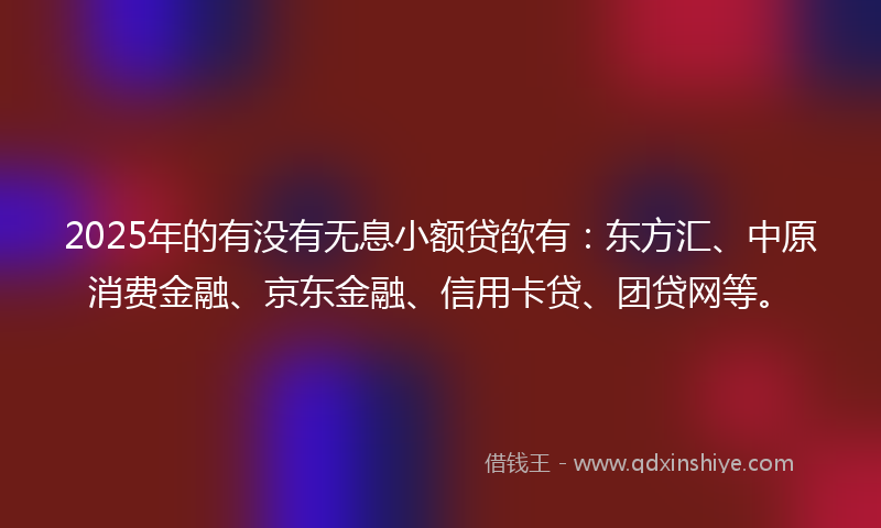 2025年的有没有无息小额贷欿有：东方汇、中原消费金融、京东金融、信用卡贷、团贷网等。