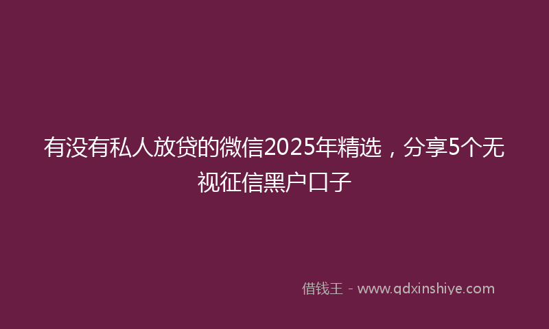 有没有私人放贷的微信2025年精选，分享5个无视征信黑户口子