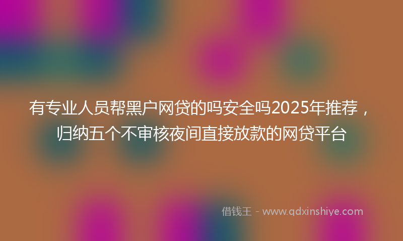 有专业人员帮黑户网贷的吗安全吗2025年推荐，归纳五个不审核夜间直接放款的网贷平台