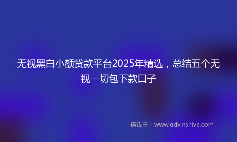 无视黑白小额贷款平台2025年精选，总结五个无视一切包下款口子