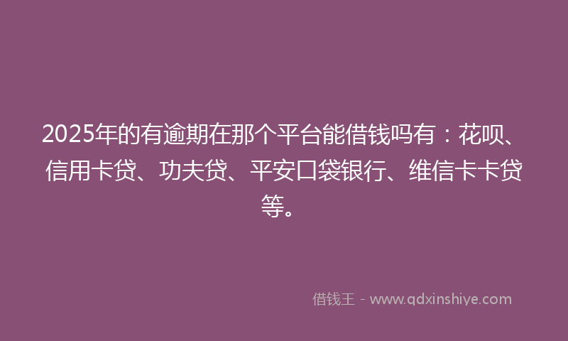 2025年的有逾期在那个平台能借钱吗有：花呗、信用卡贷、功夫贷、平安口袋银行、维信卡卡贷等。