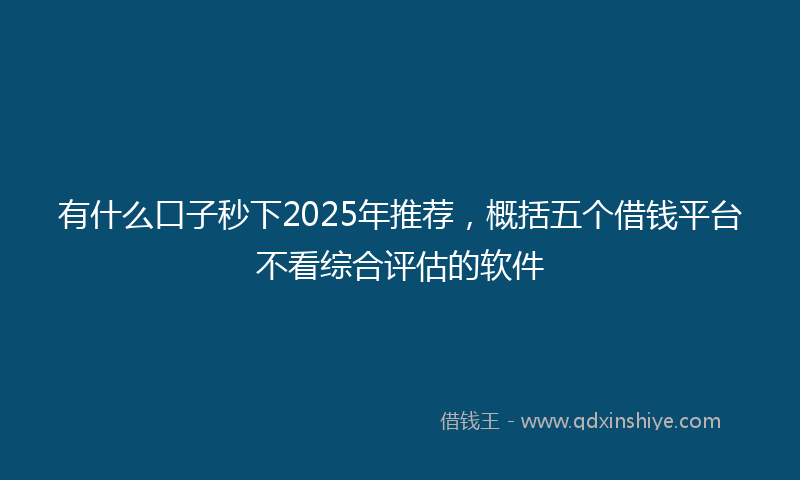 有什么口子秒下2025年推荐，概括五个借钱平台不看综合评估的软件