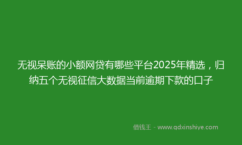 无视呆账的小额网贷有哪些平台2025年精选，归纳五个无视征信大数据当前逾期下款的口子