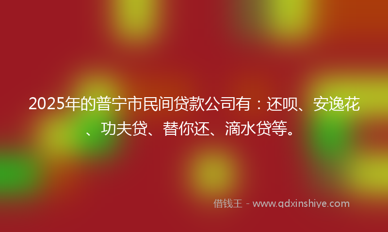 2025年的普宁市民间贷款公司有：还呗、安逸花、功夫贷、替你还、滴水贷等。