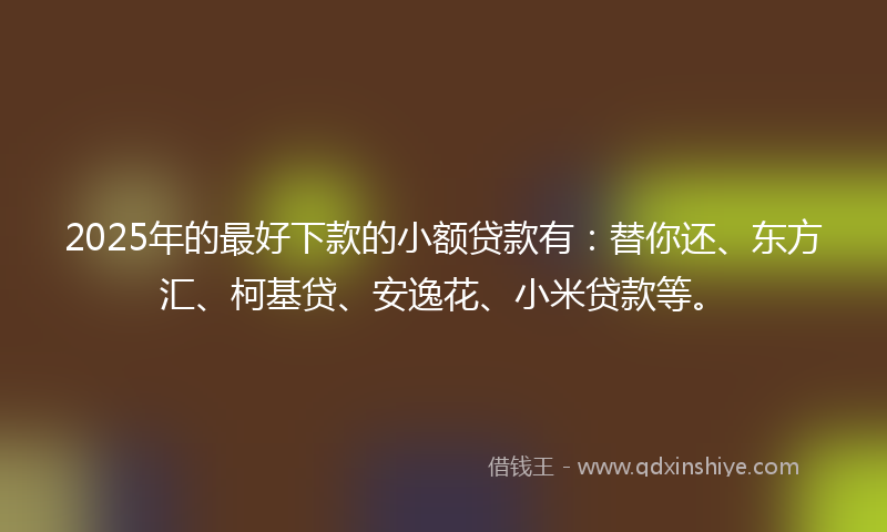 2025年的最好下款的小额贷款有：替你还、东方汇、柯基贷、安逸花、小米贷款等。