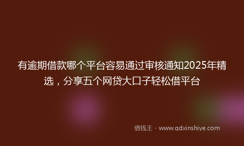 有逾期借款哪个平台容易通过审核通知2025年精选，分享五个网贷大口子轻松借平台