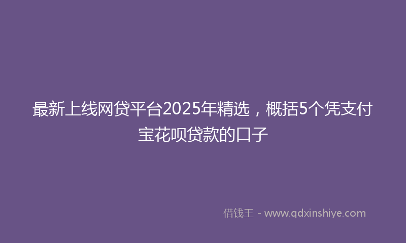 最新上线网贷平台2025年精选，概括5个凭支付宝花呗贷款的口子