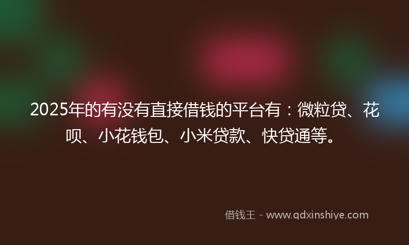 2025年的有没有直接借钱的平台有：微粒贷、花呗、小花钱包、小米贷款、快贷通等。