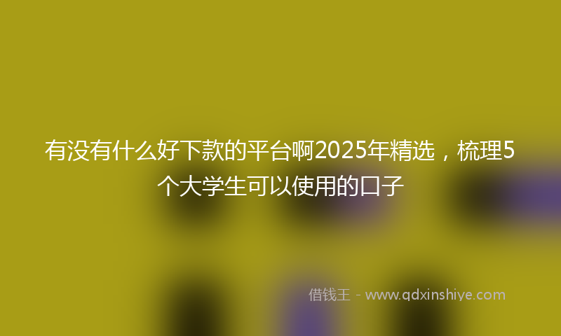 有没有什么好下款的平台啊2025年精选，梳理5个大学生可以使用的口子