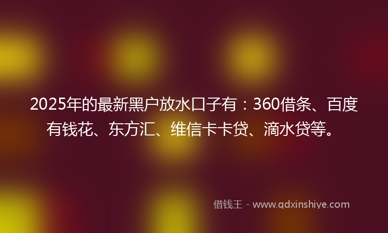 2025年的最新黑户放水口子有：360借条、百度有钱花、东方汇、维信卡卡贷、滴水贷等。