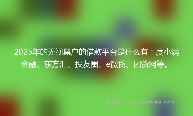 2025年的无视黑户的借款平台是什么有：度小满金融、东方汇、投友圈、e微贷、团贷网等。