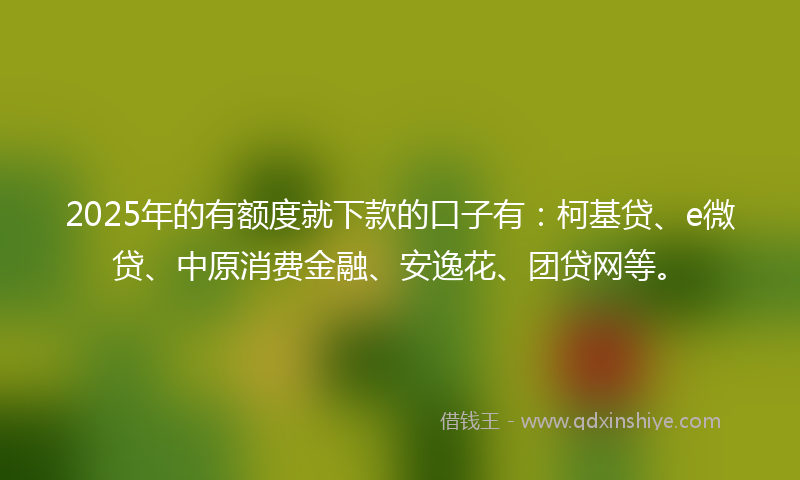 2025年的有额度就下款的口子有：柯基贷、e微贷、中原消费金融、安逸花、团贷网等。