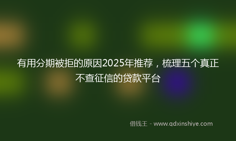 有用分期被拒的原因2025年推荐，梳理五个真正不查征信的贷款平台