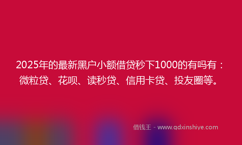 2025年的最新黑户小额借贷秒下1000的有吗有：微粒贷、花呗、读秒贷、信用卡贷、投友圈等。