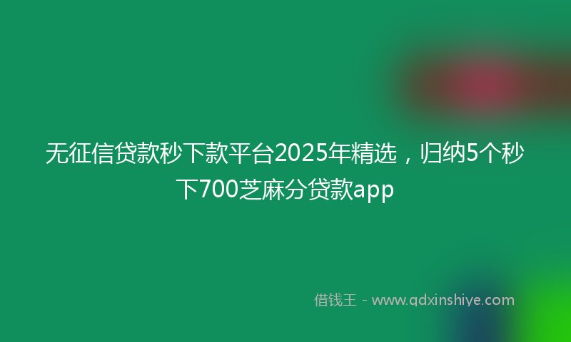 无征信贷款秒下款平台2025年精选，归纳5个秒下700芝麻分贷款app