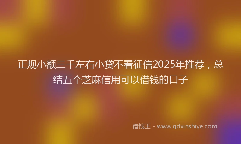 正规小额三千左右小贷不看征信2025年推荐，总结五个芝麻信用可以借钱的口子