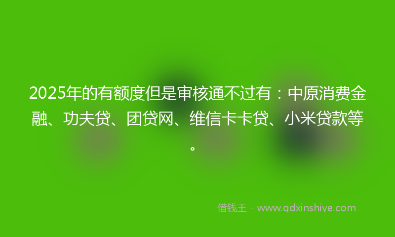 2025年的有额度但是审核通不过有：中原消费金融、功夫贷、团贷网、维信卡卡贷、小米贷款等。