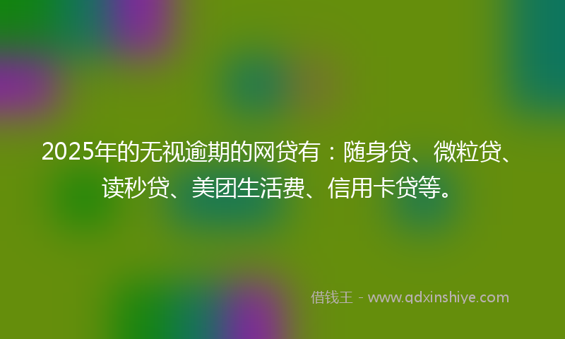 2025年的无视逾期的网贷有：随身贷、微粒贷、读秒贷、美团生活费、信用卡贷等。