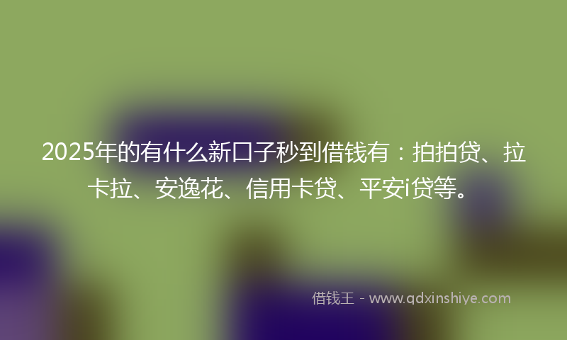 2025年的有什么新口子秒到借钱有：拍拍贷、拉卡拉、安逸花、信用卡贷、平安i贷等。
