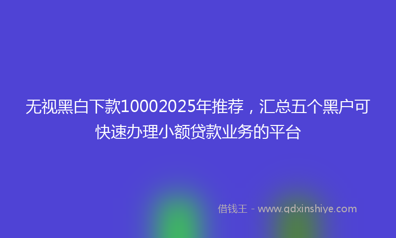 无视黑白下款10002025年推荐，汇总五个黑户可快速办理小额贷款业务的平台