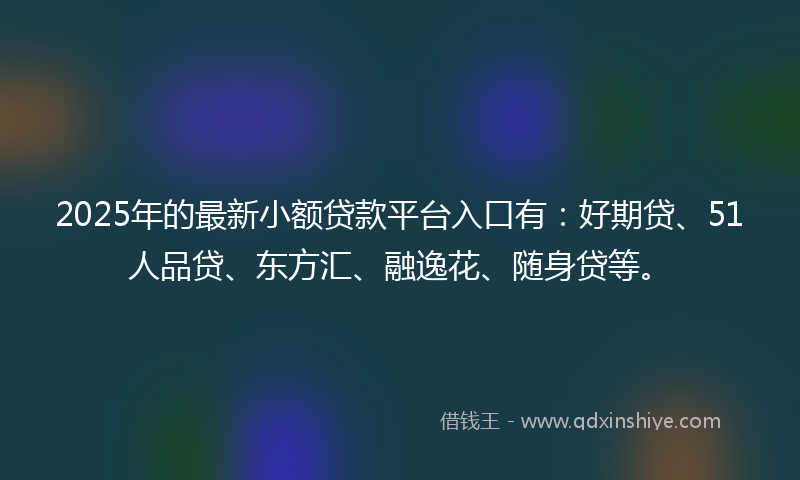 2025年的最新小额贷款平台入口有：好期贷、51人品贷、东方汇、融逸花、随身贷等。