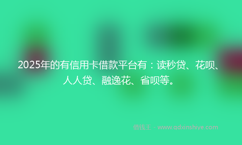 2025年的有信用卡借款平台有：读秒贷、花呗、人人贷、融逸花、省呗等。