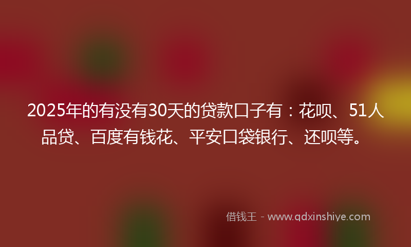 2025年的有没有30天的贷款口子有：花呗、51人品贷、百度有钱花、平安口袋银行、还呗等。