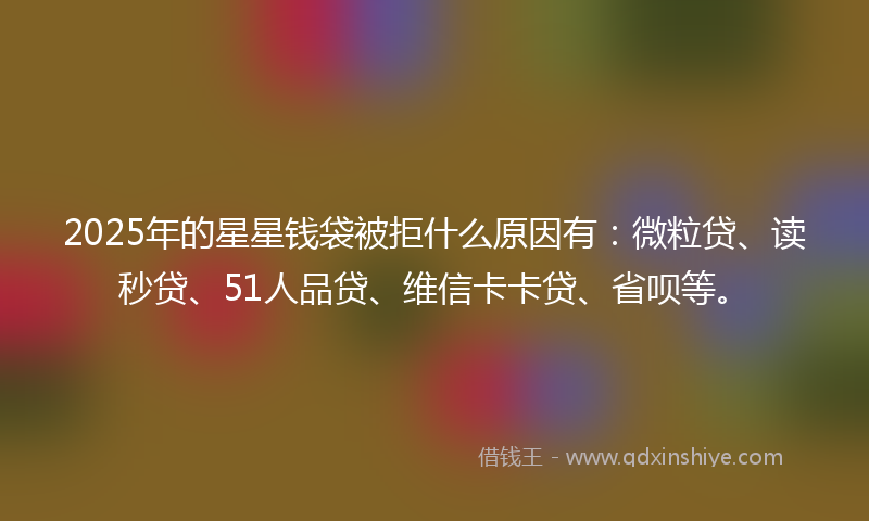2025年的星星钱袋被拒什么原因有：微粒贷、读秒贷、51人品贷、维信卡卡贷、省呗等。