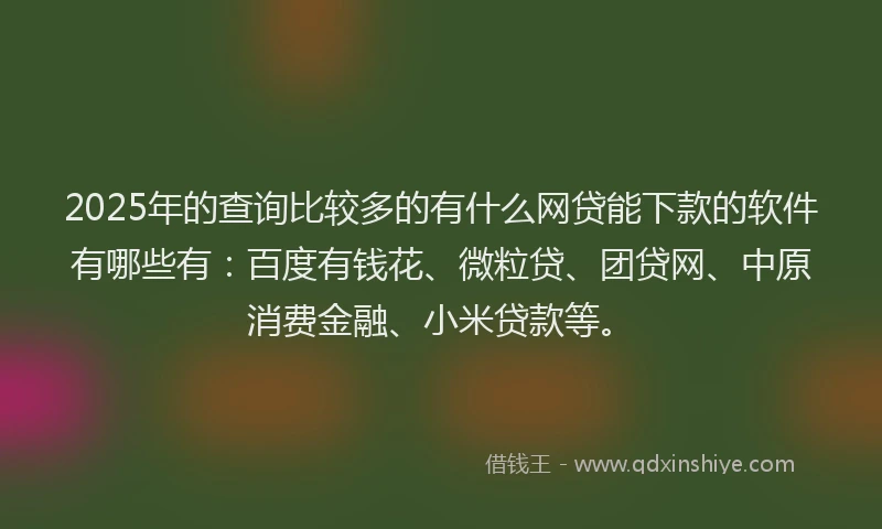2025年的查询比较多的有什么网贷能下款的软件有哪些有：百度有钱花、微粒贷、团贷网、中原消费金融、小米贷款等。