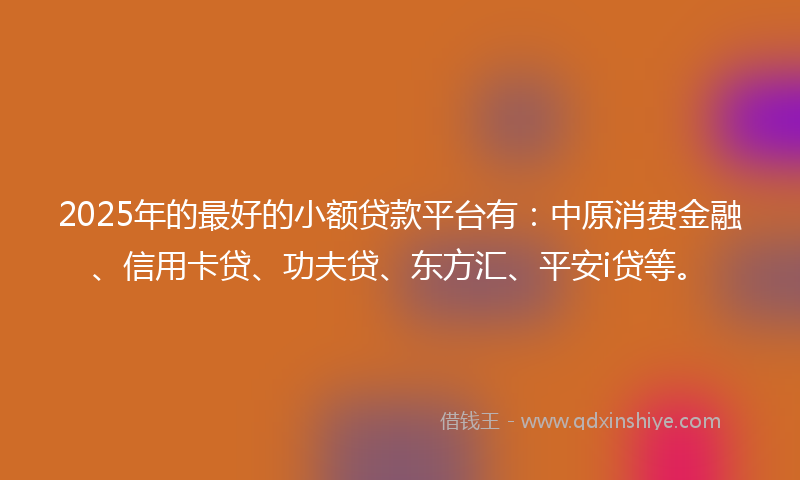 2025年的最好的小额贷款平台有：中原消费金融、信用卡贷、功夫贷、东方汇、平安i贷等。