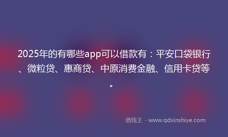 2025年的有哪些app可以借款有：平安口袋银行、微粒贷、惠商贷、中原消费金融、信用卡贷等。