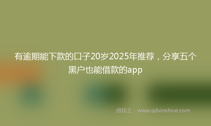 有逾期能下款的口子20岁2025年推荐，分享五个黑户也能借款的app