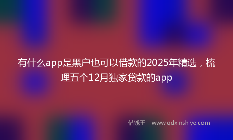 有什么app是黑户也可以借款的2025年精选，梳理五个12月独家贷款的app