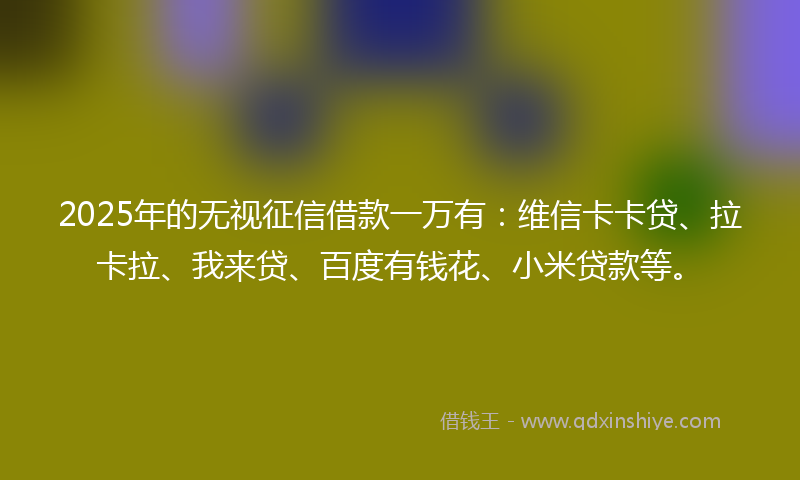 2025年的无视征信借款一万有：维信卡卡贷、拉卡拉、我来贷、百度有钱花、小米贷款等。
