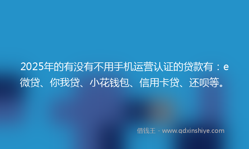 2025年的有没有不用手机运营认证的贷款有：e微贷、你我贷、小花钱包、信用卡贷、还呗等。