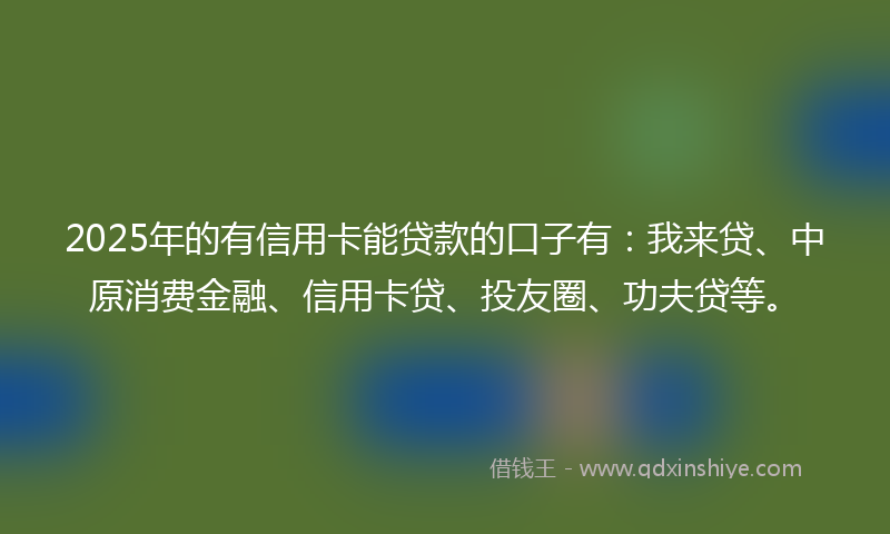 2025年的有信用卡能贷款的口子有：我来贷、中原消费金融、信用卡贷、投友圈、功夫贷等。