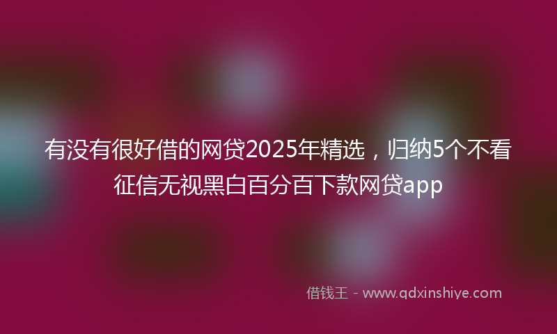 有没有很好借的网贷2025年精选，归纳5个不看征信无视黑白百分百下款网贷app
