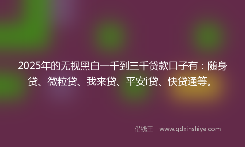 2025年的无视黑白一千到三千贷款口子有：随身贷、微粒贷、我来贷、平安i贷、快贷通等。