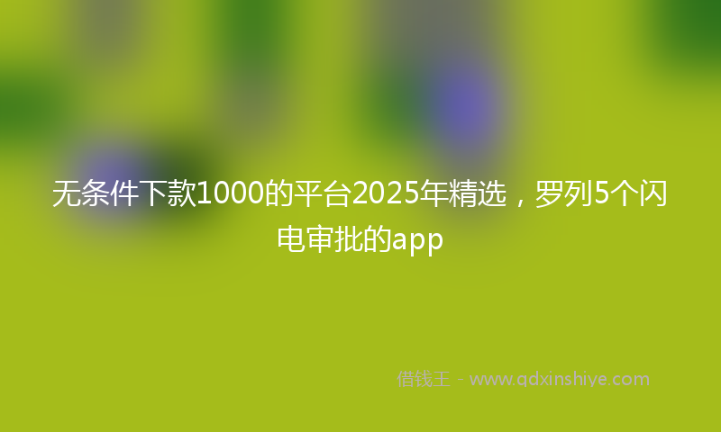 无条件下款1000的平台2025年精选，罗列5个闪电审批的app