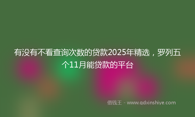 有没有不看查询次数的贷款2025年精选，罗列五个11月能贷款的平台