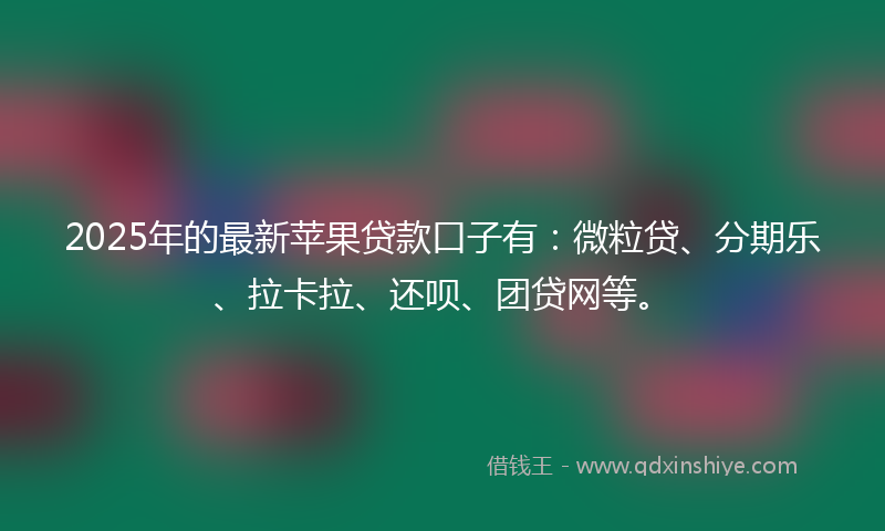 2025年的最新苹果贷款口子有：微粒贷、分期乐、拉卡拉、还呗、团贷网等。