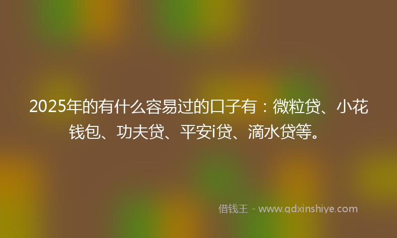 2025年的有什么容易过的口子有：微粒贷、小花钱包、功夫贷、平安i贷、滴水贷等。