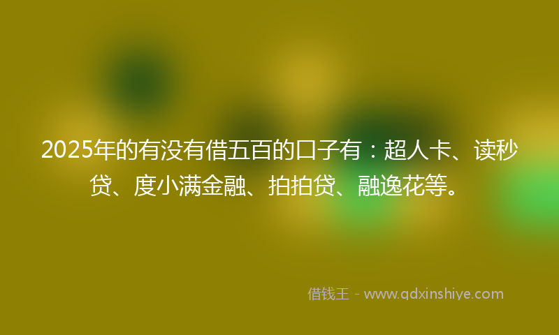 2025年的有没有借五百的口子有：超人卡、读秒贷、度小满金融、拍拍贷、融逸花等。