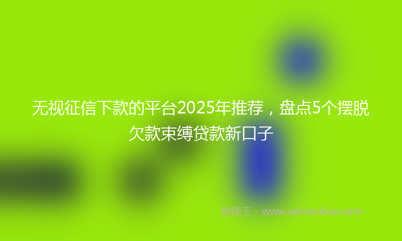 无视征信下款的平台2025年推荐，盘点5个摆脱欠款束缚贷款新口子