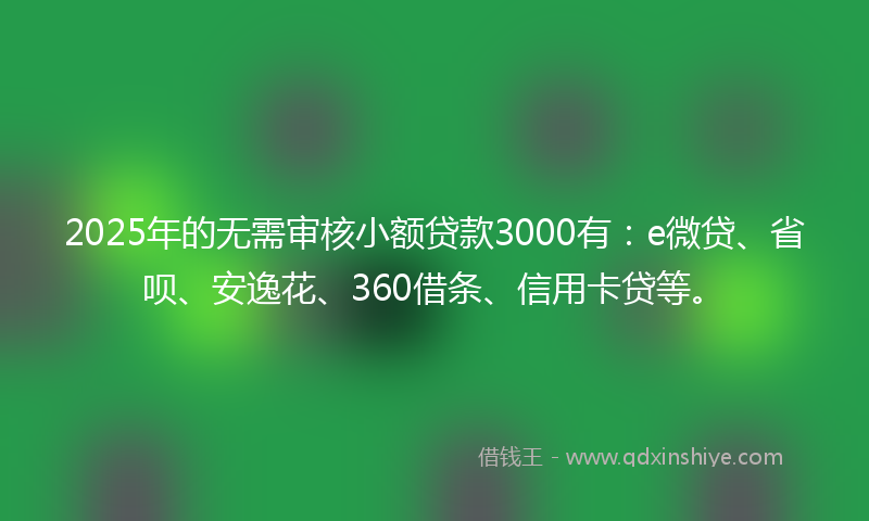 2025年的无需审核小额贷款3000有：e微贷、省呗、安逸花、360借条、信用卡贷等。